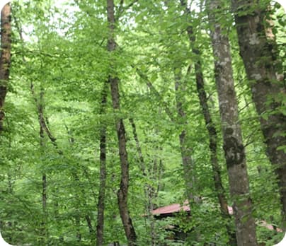 Essential Packing Hacks for Stress-Free Travel 5