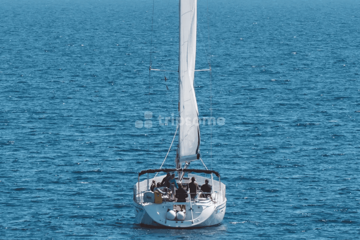 Get a Free Consultation